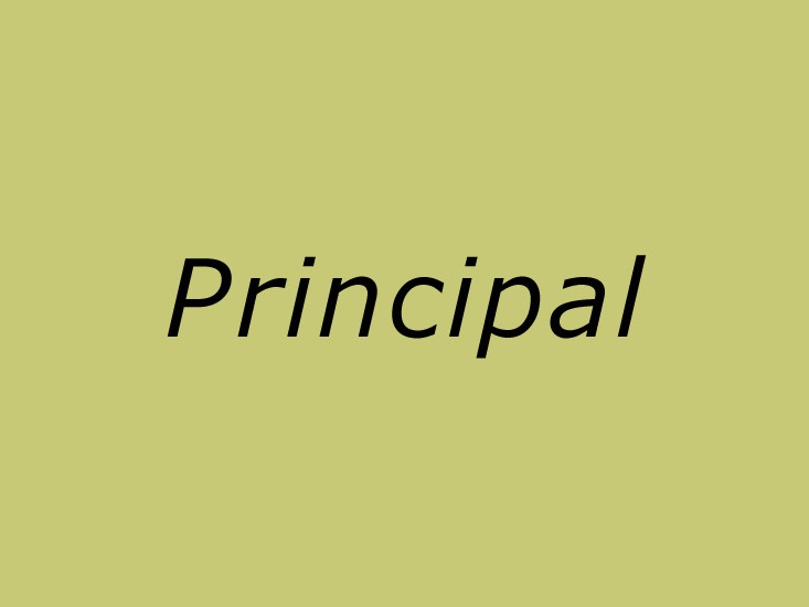vishwa bharti school, Noida